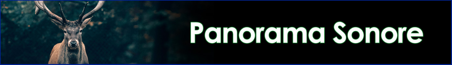 Panorama Sonore du Québec